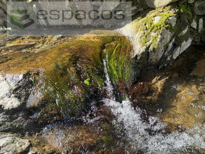 Quinta T2 para Venda em São Vicente da Beira Foto 29