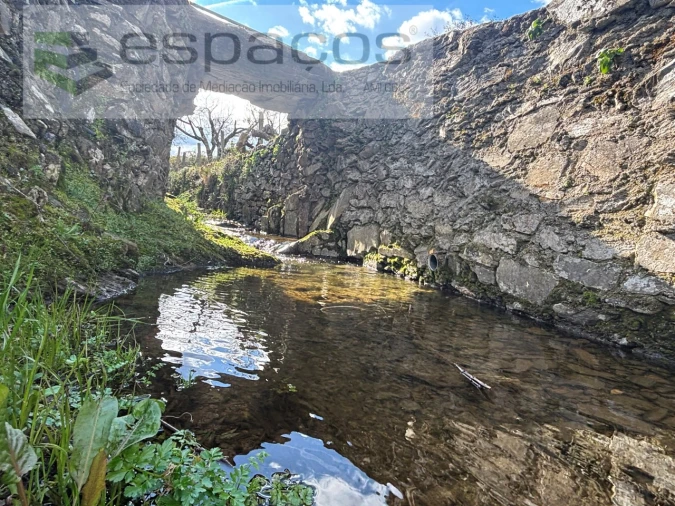 Quinta T2 para Venda em São Vicente da Beira Foto 32