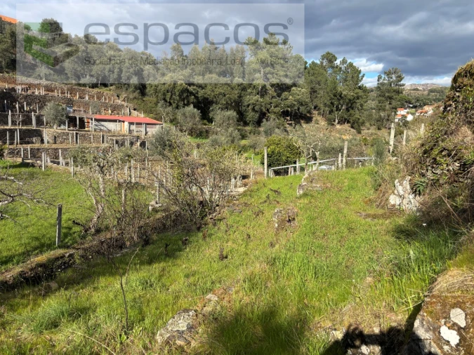 Quinta T2 para Venda em São Vicente da Beira Foto 34