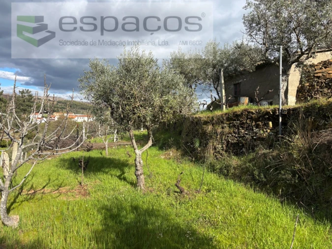 Quinta T2 para Venda em São Vicente da Beira Foto 36