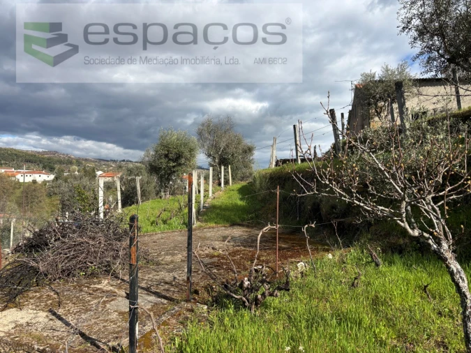 Quinta T2 para Venda em São Vicente da Beira Foto 37