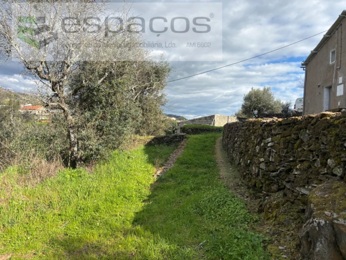 Quinta T2 para Venda em São Vicente da Beira Foto 40