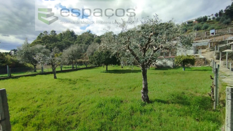 Quinta T2 para Venda em São Vicente da Beira Foto 43