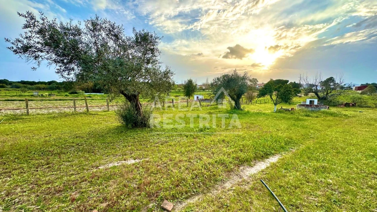 Moradia T4 para Venda em Coruche, Fajarda e Erra Foto 3