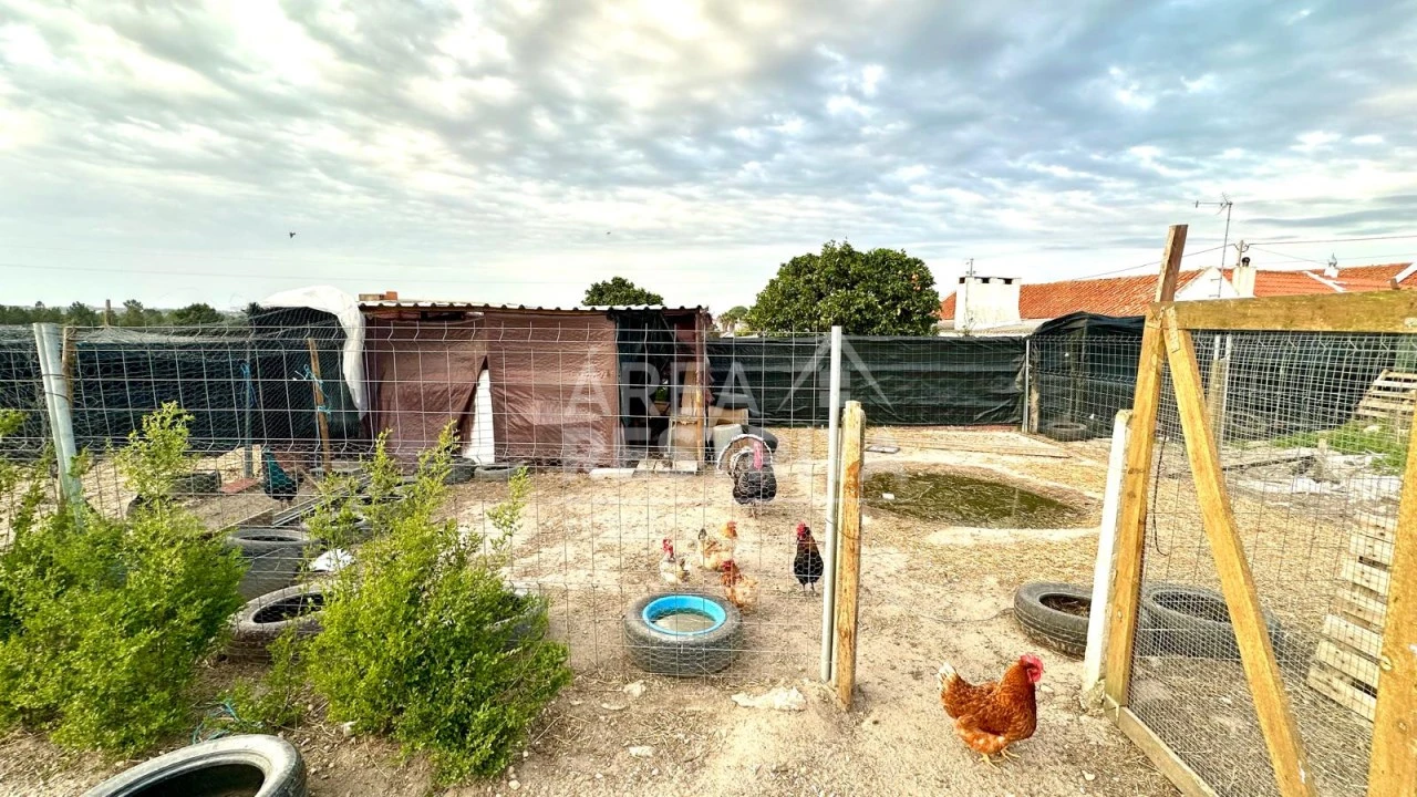 Moradia T4 para Venda em Coruche, Fajarda e Erra Foto 39