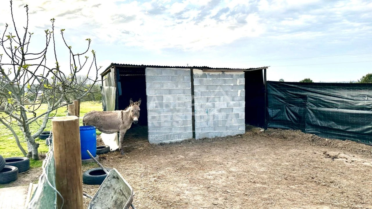 Moradia T4 para Venda em Coruche, Fajarda e Erra Foto 41