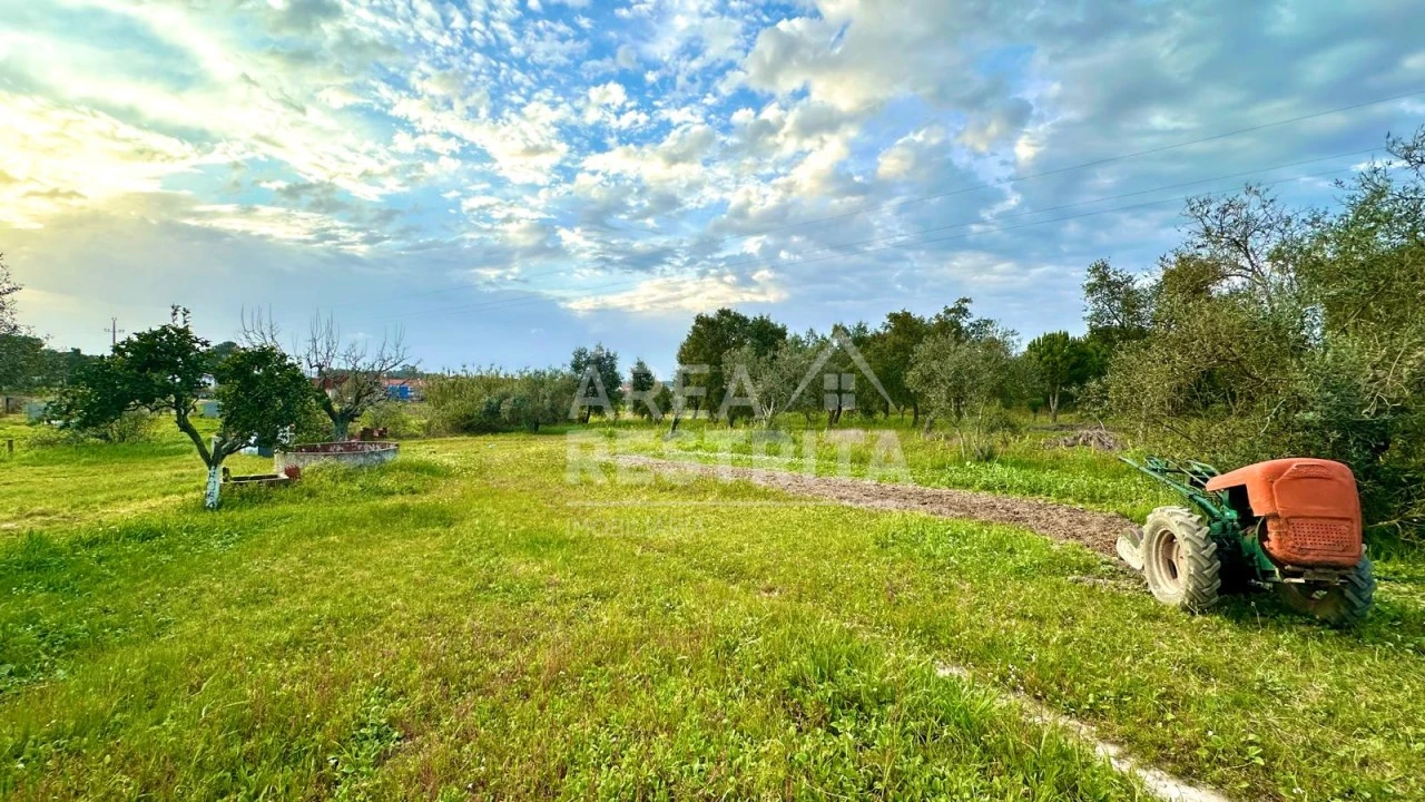 Moradia T4 para Venda em Coruche, Fajarda e Erra Foto 46