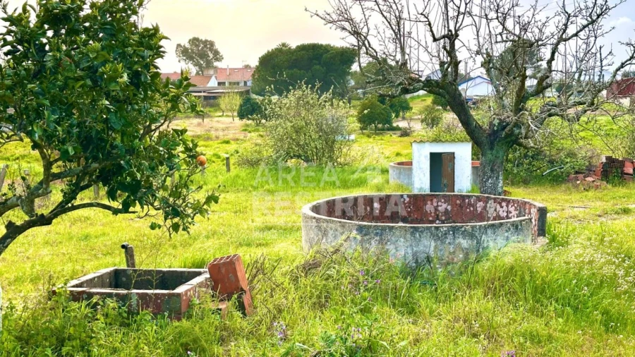 Moradia T4 para Venda em Coruche, Fajarda e Erra Foto 43