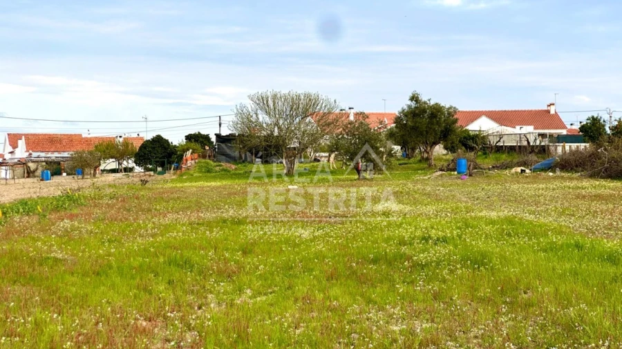 Moradia T4 para Venda em Coruche, Fajarda e Erra Foto 44