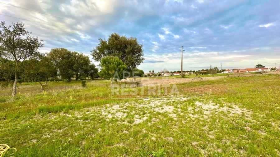 Moradia T4 para Venda em Coruche, Fajarda e Erra Foto 45