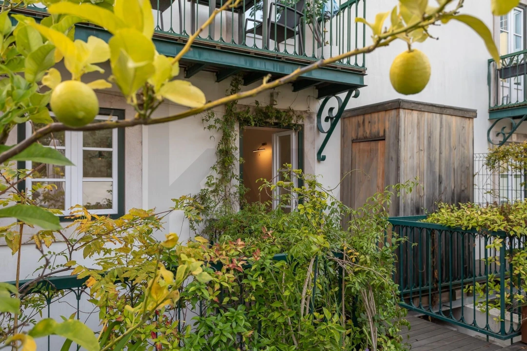 Apartamento T1 para Arrendamento em Estrela Foto 3