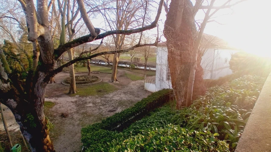 Prédio para Venda em Soure Foto 15