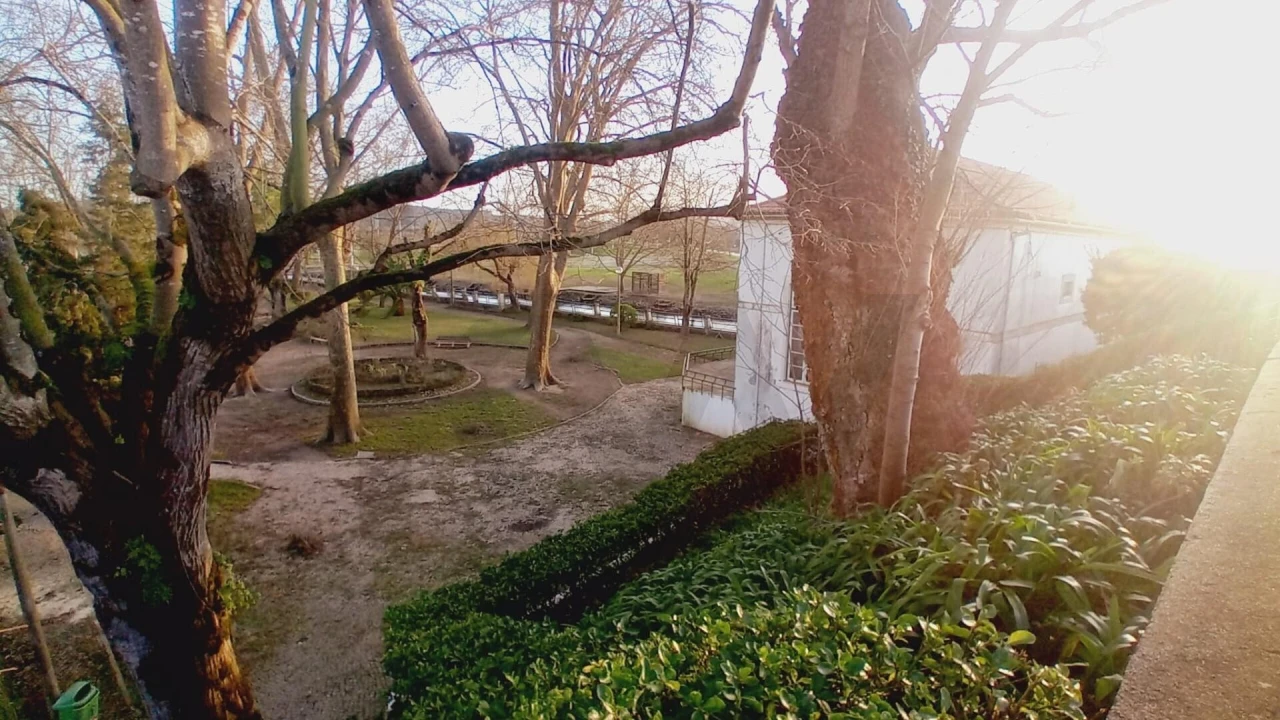 Prédio para Venda em Soure Foto 15