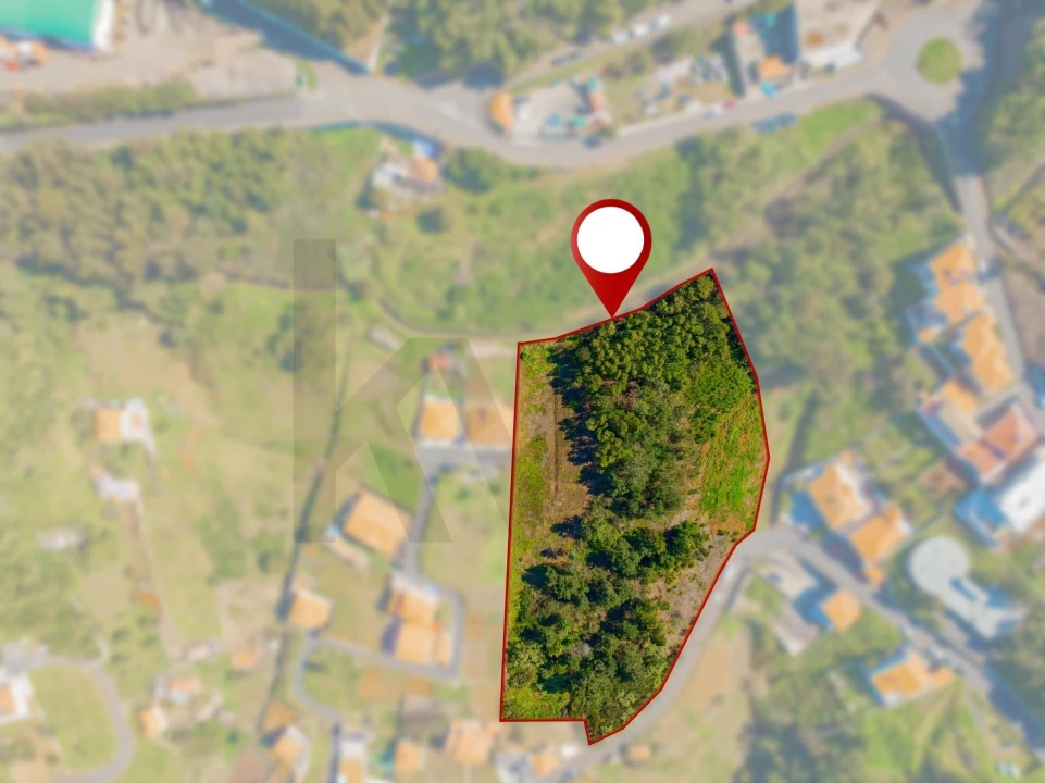 Terreno para Venda em Ribeira Brava Foto 5