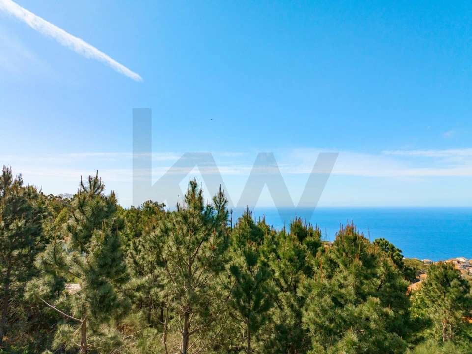 Terreno para Venda em Ribeira Brava Foto 12