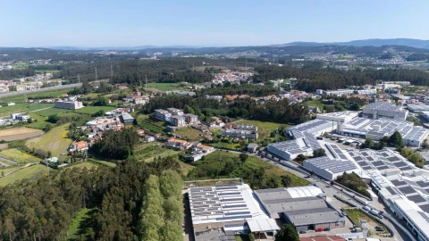 Terreno para Venda em Nogueira e Silva Escura