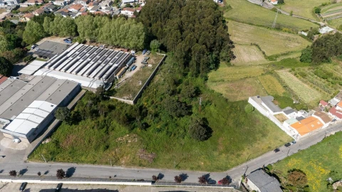 Terreno para Venda em Nogueira e Silva Escura