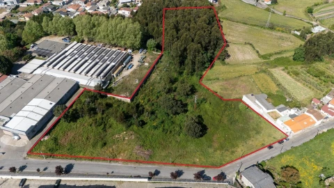 Terreno para Venda em Nogueira e Silva Escura