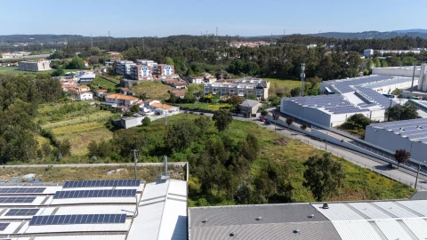 Terreno para Venda em Nogueira e Silva Escura