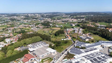 Terreno para Venda em Nogueira e Silva Escura