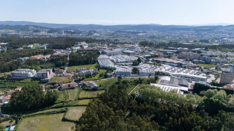 Terreno para Venda em Nogueira e Silva Escura