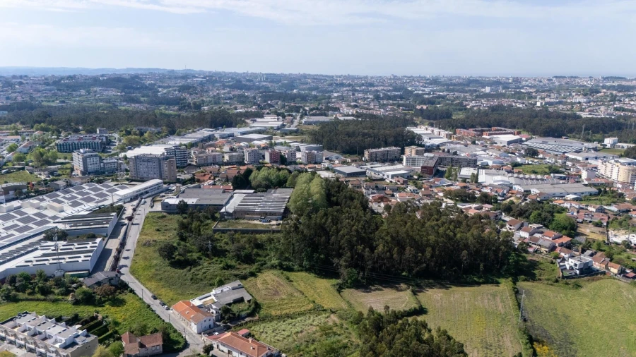 Terreno para Venda em Nogueira e Silva Escura Foto 11