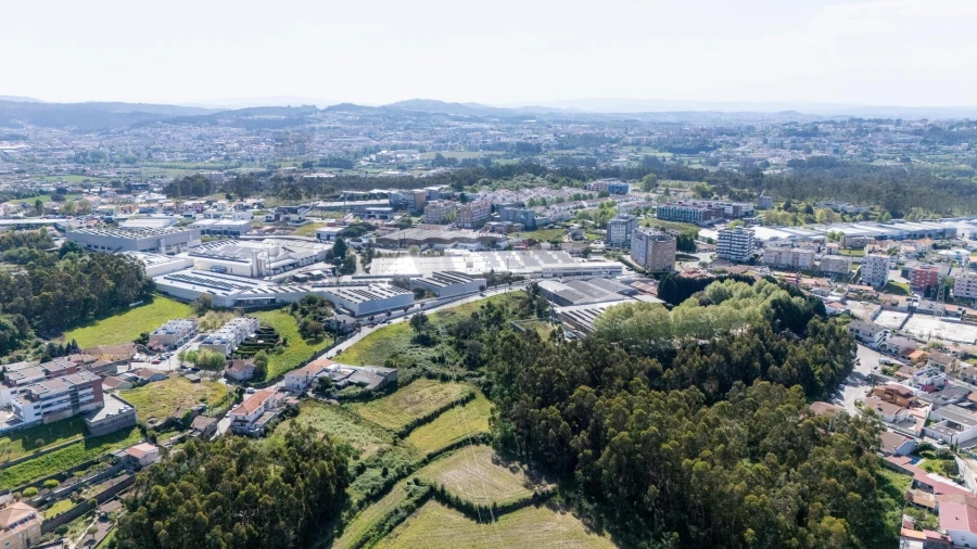 Terreno para Venda em Nogueira e Silva Escura Foto 12