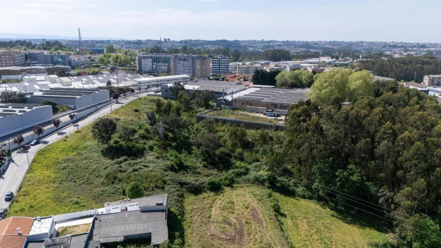 Terreno para Venda em Nogueira e Silva Escura Foto 18
