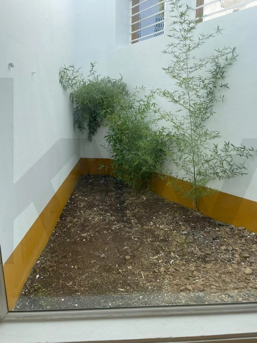 Moradia T2 para Venda em Nossa Senhora da Vila, Nossa Senhora do Bispo e Silveiras Foto 13