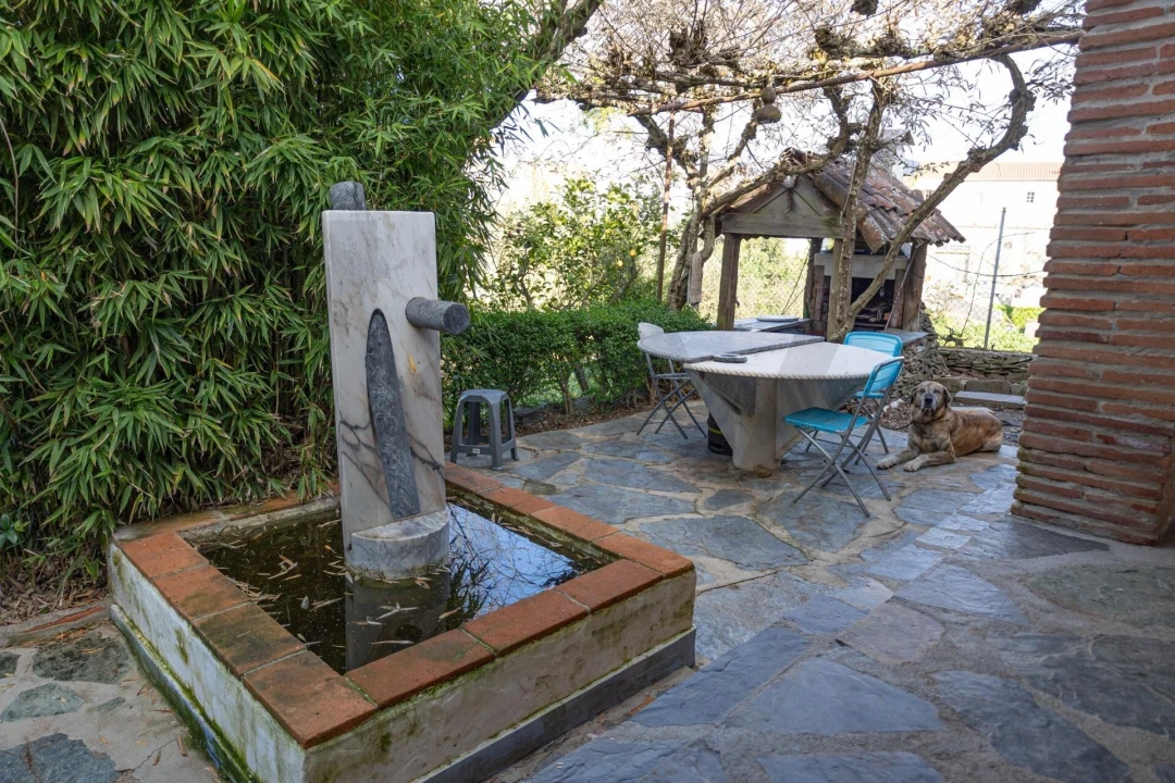 Moradia T3 para Venda em Rio de Moinhos Foto 18