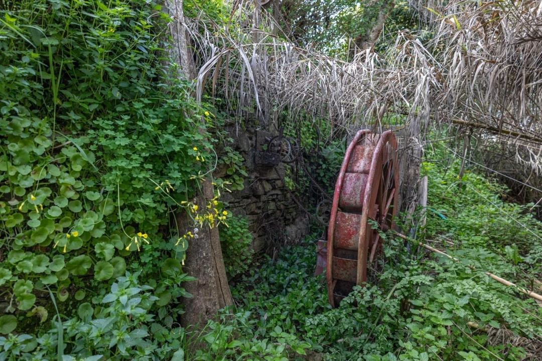 Moradia T3 para Venda em Rio de Moinhos Foto 46