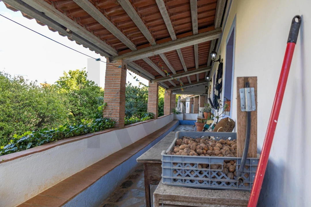 Moradia T3 para Venda em Rio de Moinhos Foto 43