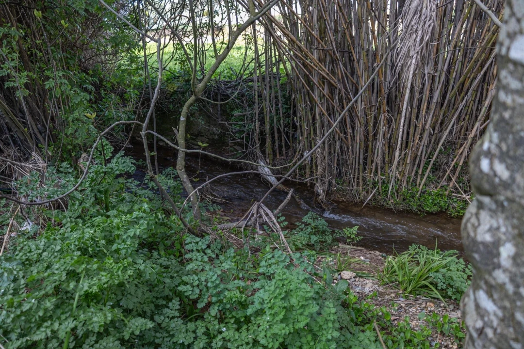Moradia T3 para Venda em Rio de Moinhos Foto 45