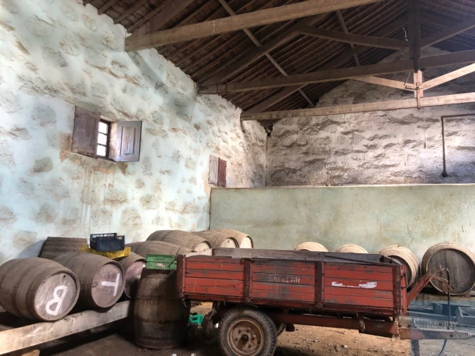 Quinta T7 para Venda em Mafamude e Vilar do Paraíso Foto 28