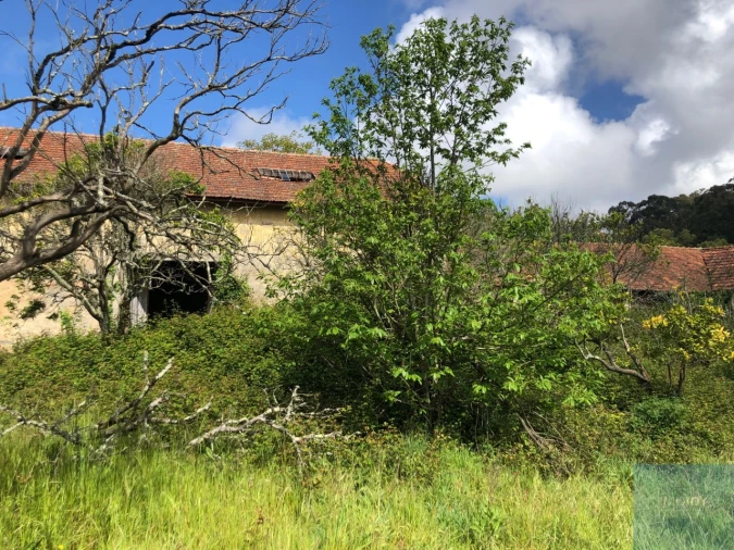 Quinta T7 para Venda em Mafamude e Vilar do Paraíso Foto 32
