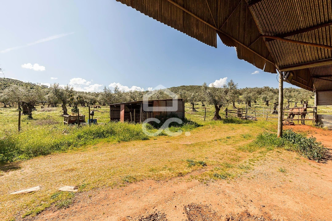 Quinta T2 para Venda em Sousel Foto 44