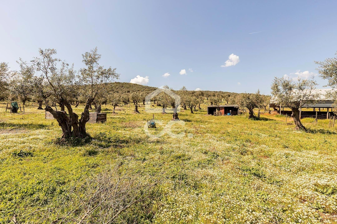 Quinta T2 para Venda em Sousel Foto 50