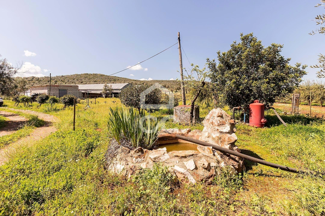 Quinta T2 para Venda em Sousel Foto 73