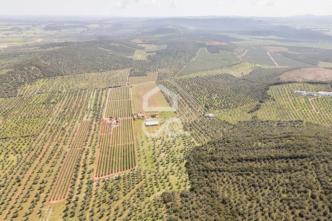 Quinta T2 para Venda em Sousel Foto 129