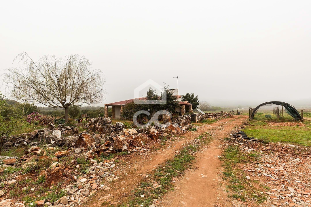 Quinta T2 para Venda em Sousel Foto 51