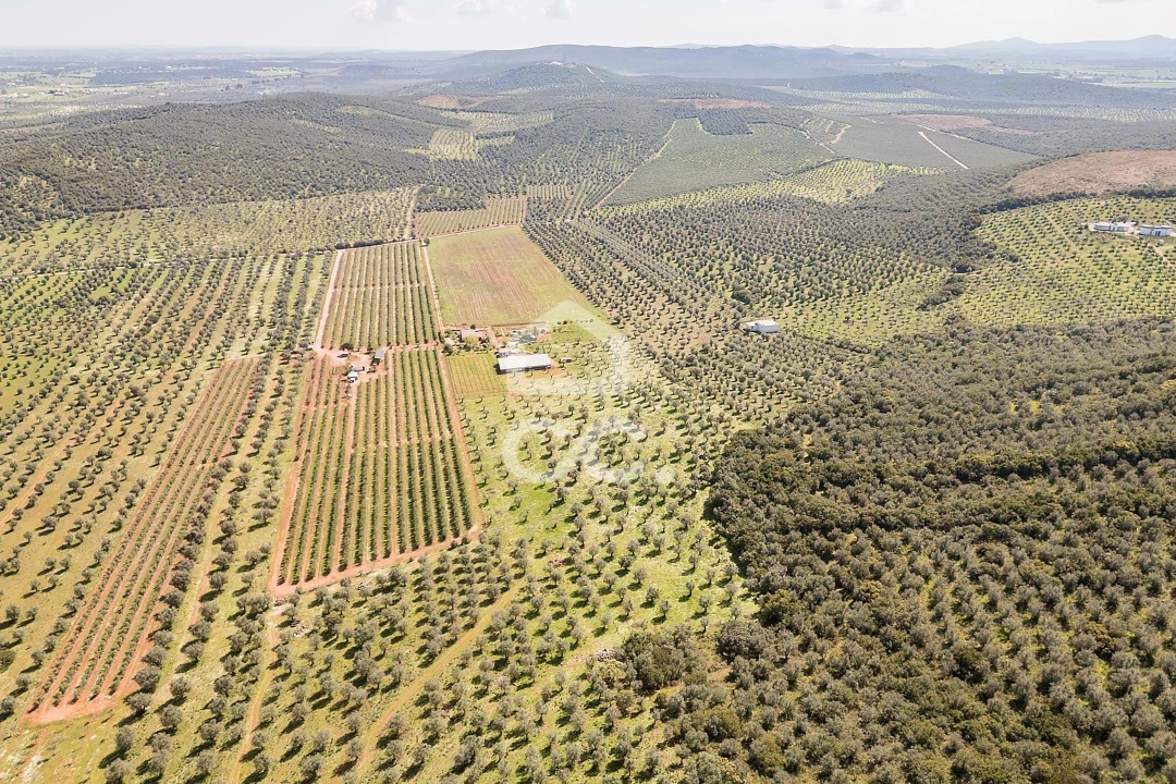 Quinta T2 para Venda em Sousel Foto 130