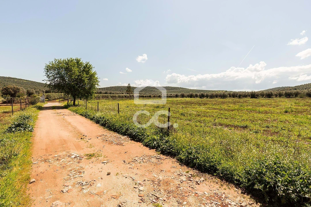 Quinta T2 para Venda em Sousel Foto 91