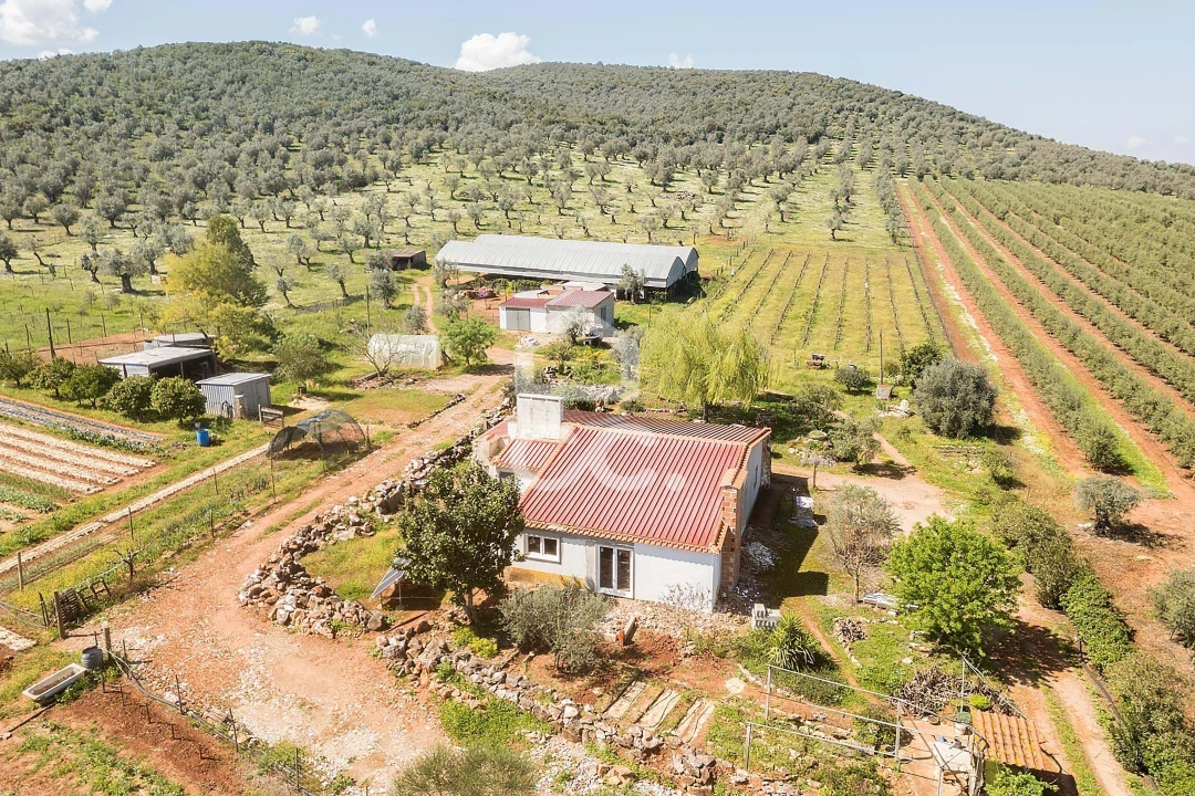 Quinta T2 para Venda em Sousel Foto 3