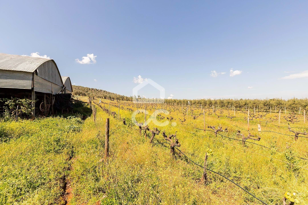 Quinta T2 para Venda em Sousel Foto 54