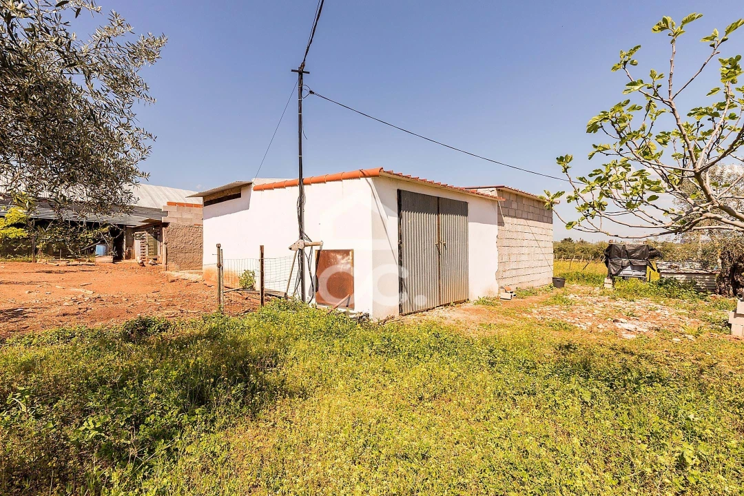 Quinta T2 para Venda em Sousel Foto 36