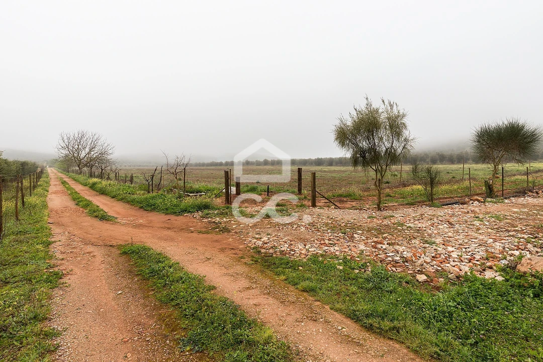 Quinta T2 para Venda em Sousel Foto 48