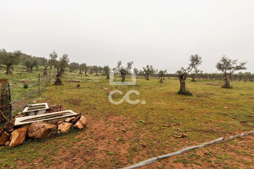 Quinta T2 para Venda em Sousel Foto 41