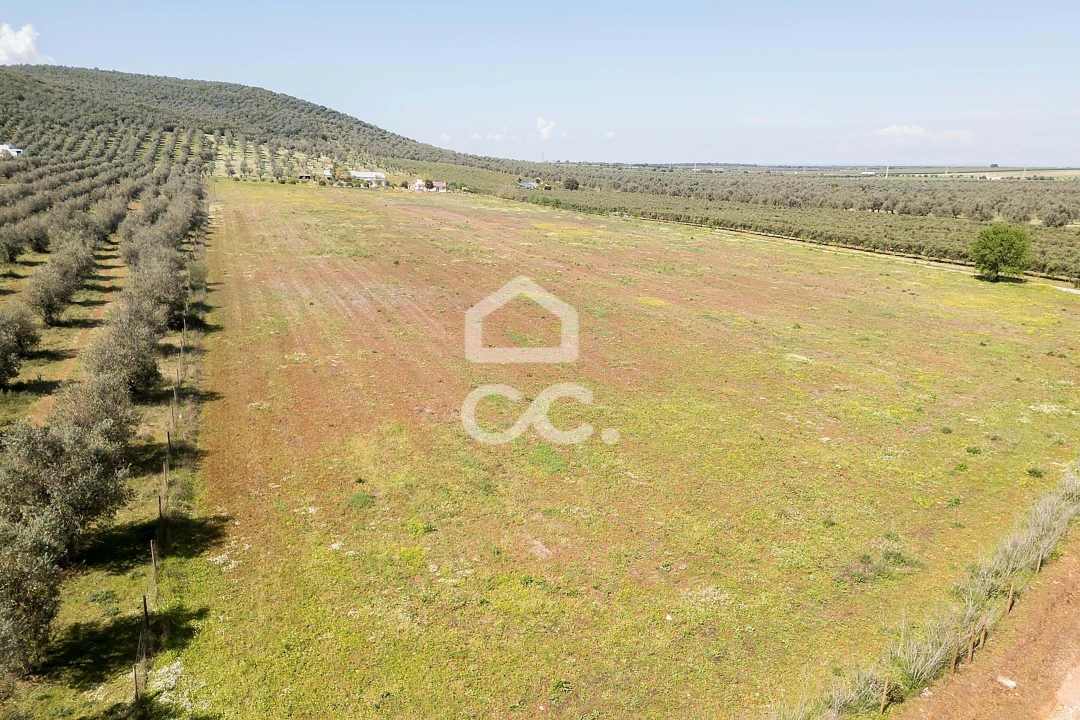 Quinta T2 para Venda em Sousel Foto 115