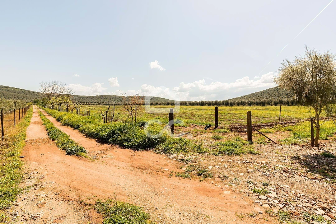 Quinta T2 para Venda em Sousel Foto 64