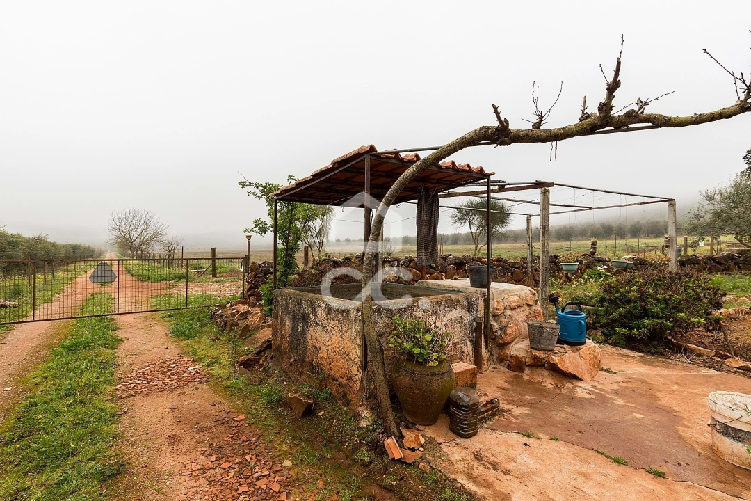 Quinta T2 para Venda em Sousel Foto 57